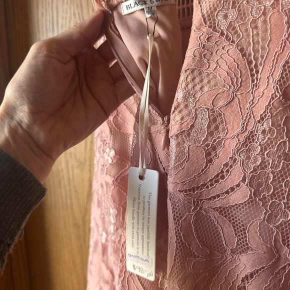 Black Swan Pink Sleeveless V-Neck Mini Dress - Picture 3 of 7